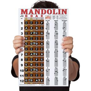 Laminated Mandolin Fretboard Notes & Easy Beginner Chord Chart 11"x17" Instructional Poster by A New Song Music