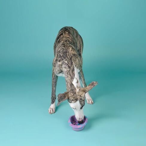 وعاء لعق الكلاب التفاعلي، وعاء تغذية بطيء من السيليكون الخالي من مادة BPA مع أكواب شفط، وعاء طعام غير قابل للانزلاق للكلاب والقطط، يقلل من الملل والقلق، آمن للاستخدام في غسالة الأطباق، أخضر in Kuwait