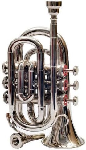 Piccolo Bb Trumpet Premium Kit for Beginners & Students, Brass Musical Instrument with Sturdy Case, 7C Mouthpiece, Complete Cleaning Set Open Box Special in Saudi Arabia