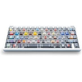 T3 Switch Tester for Cherry Gateron TTC Kailh Switches,Custom Mechanical Gaming Keyboard,USB-C,Full Aluminum Gasket,60% 61Keys Hot-Swap,White Backlight,Tansparent Keycaps,Windows Mac Linux
