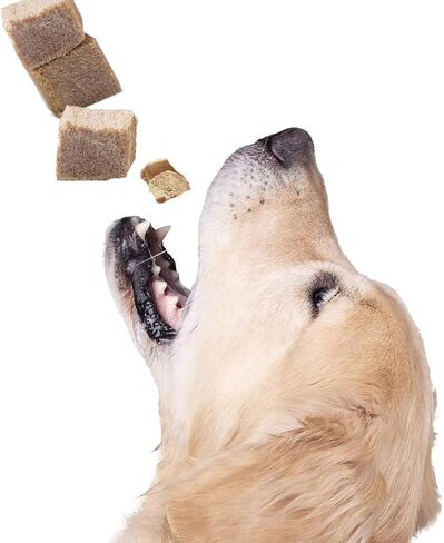 Freeze Dried Chicken 2oz (57g) Dog and Cat Treats Food Topper | Single Ingredient: Just Chicken in Saudi Arabia