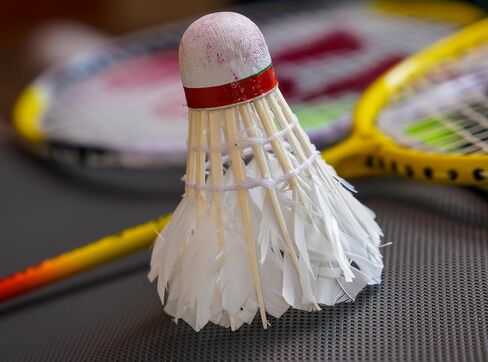 كرات الريشة الفاخرة من ريش الدجاجة الحقيقية من أيكونيكال، عدد 10، باللون الأبيض in Kuwait