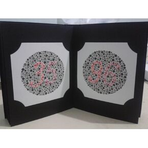 Graham-Field Ishihara Color Test Chart, Unlettered 10 Plate Book for Children, 1257