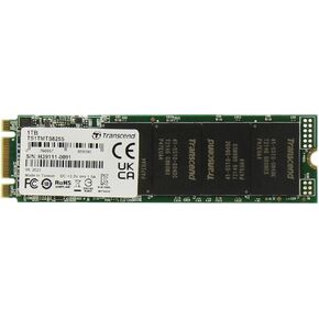 Transcend 2TB M.2 2280 SATAIII 6Gb/s Internal SSD, SLC Cache, 3D TLC, Read/Write Speed up to 550/460 MB/s, Compatible with Laptop & PC Desktop, TS2TMTS825S