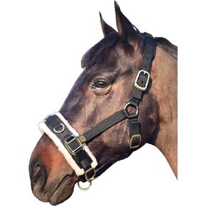 T TEKE Lunge Cavesson with Fleece Lined Nose Band and Crown