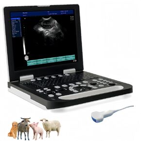 Ruisheng N50 Veterinary Ultrasound Machine with 15 inch Large HD LCD Screen with Two sockets for Pets and Farm Animal Pregnancy Test Packed with 3.5 MHz Convex and 6.5 MHz Rectal Linear Probe