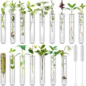 16 pcs Clear Test Tubes for Plant Propagation 20ml Hydroponic Test Tube Round Bottom Propagation Tubes for Home Office Desktop Decoration Bead Party Candy Storage