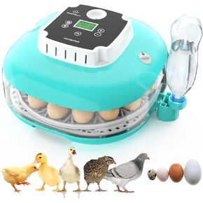 Incubator for Hatching Eggs, Automatic Egg Turner and Humidity Control, Holds 22 Eggs, 360° View, Built-in Egg Candler for Chicken, Duck, Quail,Goose,Pigeon in Saudi Arabia