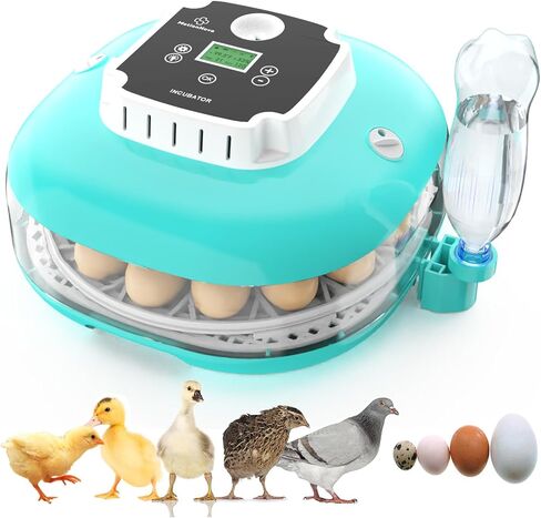 Incubator for Hatching Eggs, Automatic Egg Turner and Humidity Control, Holds 22 Eggs, 360° View, Built-in Egg Candler for Chicken, Duck, Quail,Goose,Pigeon in Saudi Arabia