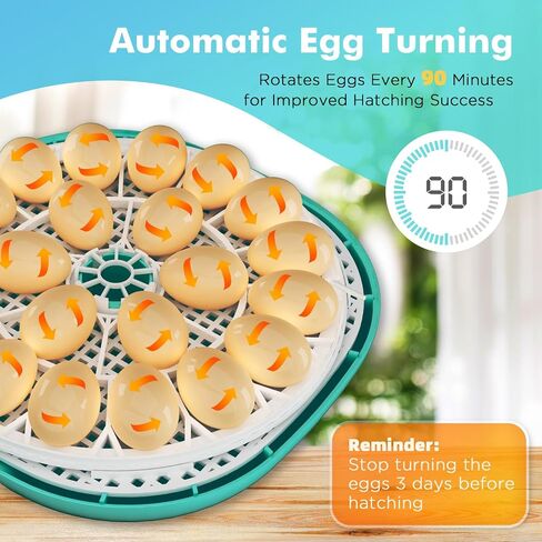 Incubator for Hatching Eggs, Automatic Egg Turner and Humidity Control, Holds 22 Eggs, 360° View, Built-in Egg Candler for Chicken, Duck, Quail,Goose,Pigeon in Saudi Arabia