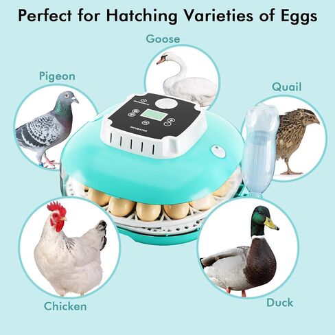 Incubator for Hatching Eggs, Automatic Egg Turner and Humidity Control, Holds 22 Eggs, 360° View, Built-in Egg Candler for Chicken, Duck, Quail,Goose,Pigeon in Saudi Arabia