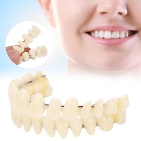 ZJchao 280pcs/10 Set Resin Denture False Teeth, Dental Teeth Teaching Model, Resin Denture for Patients with Oral Cavity Loss,Dental Supply Accessory