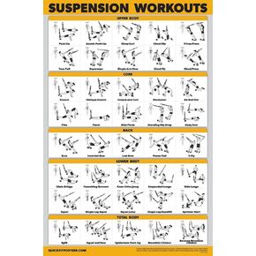 Palace Learning QUICKFIT Suspension Workout Exercise Poster - (Laminated, 18in x 24in), Hallway