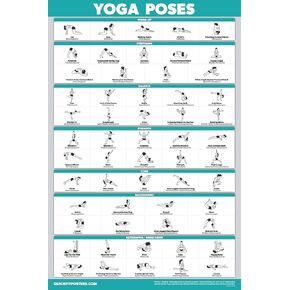 Palace Learning QuickFit Yoga Position Exercise Poster - Yoga Asana Poses Chart - Laminated, 18" x 27"