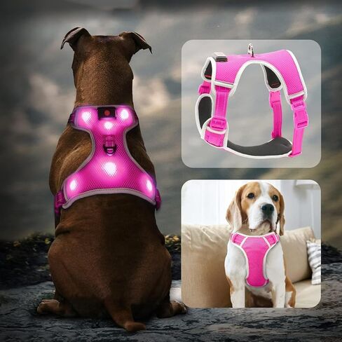 BSEEN Light Up Dog Harness - عدم سحب LED Dog Harness، يتوهج في الظلام الكلب المشي تسخير، قابلة للشحن الكلب سترة تسخير أضواء الكلب للمشي ليلا (الأخضر، متوسط) in Kuwait