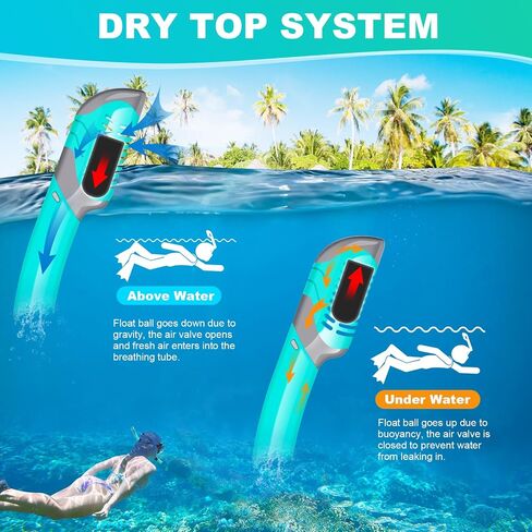 Snorkeling Gear for Adults, Snorkel Mask Adult Snorkel Set, Anti-Fog Scuba Diving Mask Panoramic View Scuba Gear, Tempered Glass Snorkel Goggles Swim Masks for Adults in Saudi Arabia