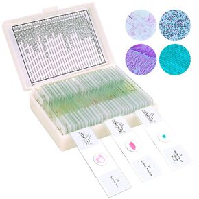 30 Microscope Slides with Specimens for Kids, Prepared Microscope Slides Set with Plants Animals Insects for Kids Students Homeschool Basic Biological Science Education
