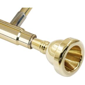 Litoexpe 1 Pcs Trombone Mouthpiece Small Shank 12C, Trombone Instrument Mouthpiece (Silver)