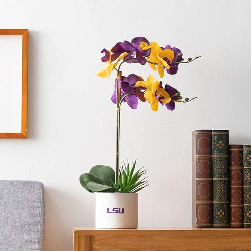 LSU Orchid Plant, LSU Faux Orchid Plant, LSU Gifts for Men, LSU Gifts for Women, LSU Gifts, Louisiana University Decorations, Office Accessories for Men, Desk Sets and Accessories for Women in Kuwait
