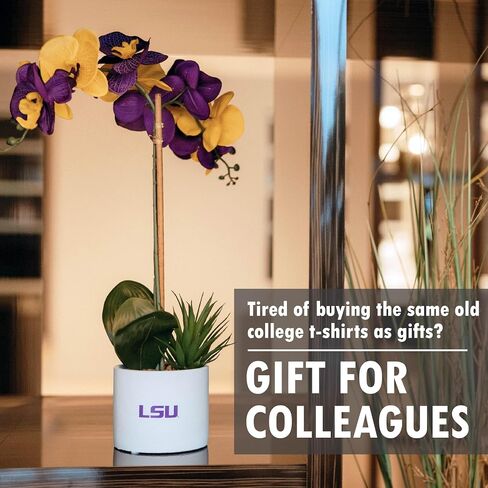 LSU Orchid Plant, LSU Faux Orchid Plant, LSU Gifts for Men, LSU Gifts for Women, LSU Gifts, Louisiana University Decorations, Office Accessories for Men, Desk Sets and Accessories for Women in Kuwait