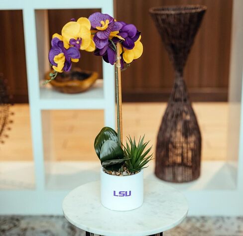 LSU Orchid Plant, LSU Faux Orchid Plant, LSU Gifts for Men, LSU Gifts for Women, LSU Gifts, Louisiana University Decorations, Office Accessories for Men, Desk Sets and Accessories for Women in Kuwait