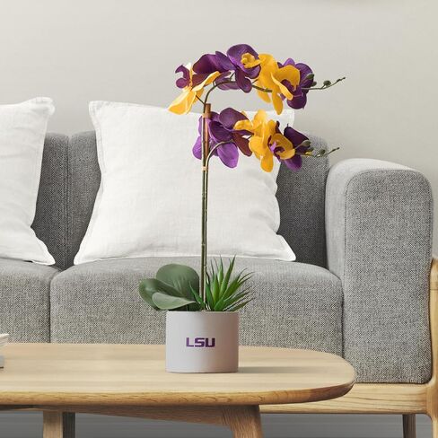 LSU Orchid Plant, LSU Faux Orchid Plant, LSU Gifts for Men, LSU Gifts for Women, LSU Gifts, Louisiana University Decorations, Office Accessories for Men, Desk Sets and Accessories for Women in Kuwait