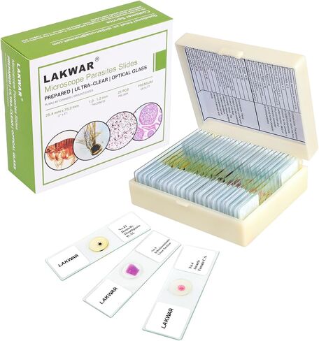 25 Parasite Microscope Slides with Specimens for Kids Adults, Prepared Parasite Microscope Slides Kit, Prepared Parasite Glass Slides for Adults Kids in Saudi Arabia