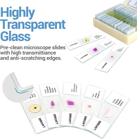 25 Parasite Microscope Slides with Specimens for Kids Adults, Prepared Parasite Microscope Slides Kit, Prepared Parasite Glass Slides for Adults Kids in Saudi Arabia