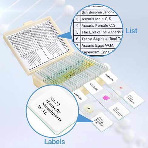 25 Parasite Microscope Slides with Specimens for Kids Adults, Prepared Parasite Microscope Slides Kit, Prepared Parasite Glass Slides for Adults Kids in Saudi Arabia