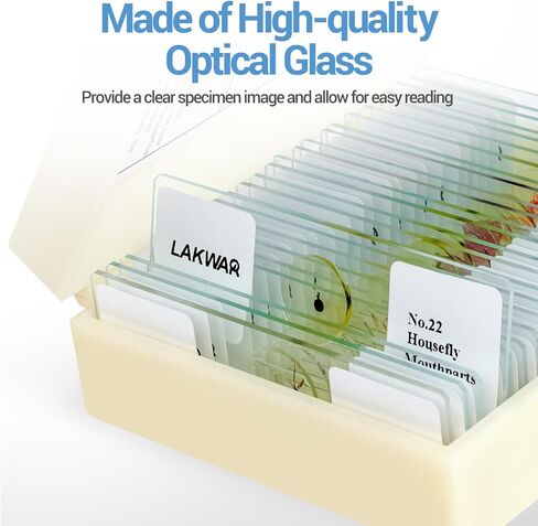25 Parasite Microscope Slides with Specimens for Kids Adults, Prepared Parasite Microscope Slides Kit, Prepared Parasite Glass Slides for Adults Kids in Saudi Arabia
