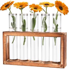 Desktop Glass Plant Propagation Station with 5 Test Tubes in Wooden Stand - Hydroponic Plants Cutting Office Home Decoration and Garden Decor Terrarium (5 Tubes)