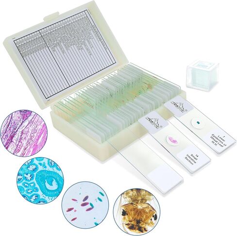 30 Microscope Slides and 100 Covers Set for Kids Adults Students Homeschool Edu - Included 20 Prepared Slides with Plants Animals Insects Specimens, 10 Blank Slides and 100 Coverslips in Kuwait