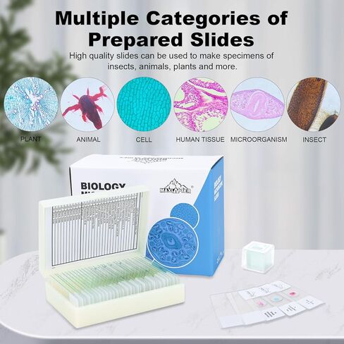 30 Microscope Slides and 100 Covers Set for Kids Adults Students Homeschool Edu - Included 20 Prepared Slides with Plants Animals Insects Specimens, 10 Blank Slides and 100 Coverslips in Kuwait