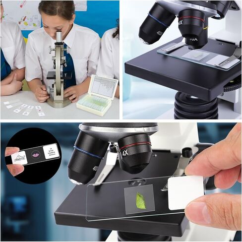 30 Microscope Slides and 100 Covers Set for Kids Adults Students Homeschool Edu - Included 20 Prepared Slides with Plants Animals Insects Specimens, 10 Blank Slides and 100 Coverslips in Kuwait
