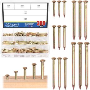 Glarks 300pcs 20/30/40/50/60mm Brick Steel Nails Kit, White Zinc Carbon Steel Hardware Nails, Finishing Nails, Brad and Picture Hanging Nails, Wood Nails, Cement Nails for Drywall and Pine