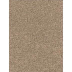 Kunin Eco-Fi Plus Premium Felt (12 Pack), 12" by 18", Sandstone