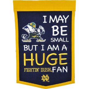 Winning Streak Sports NCAA Notre Dame Fighting Irish Lil Fan Banner- College Sports Fan Wall Decor for Kids