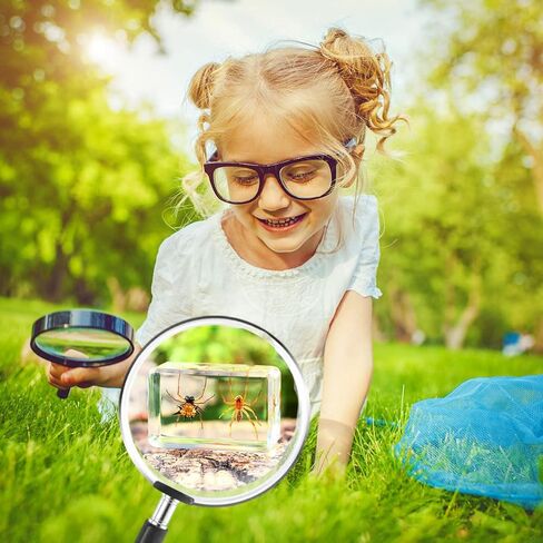 12Pcs Insects in Resin Insect Specimen Set Paperweight Real Bugs Collection Supplies for Kids Scientific Education Biology Oddities and Curiosities Taxidermy Bugs Display (Magnifying Glass Included) in Kuwait