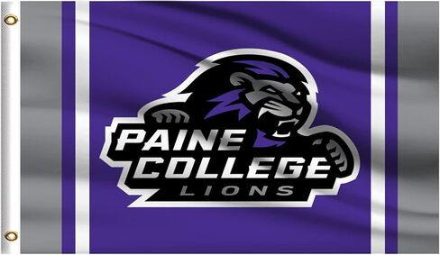 علم باين ليونز للاستخدام الخارجي، لافتة خارجية مقاس 3×5، مزدوجة الجوانب in Kuwait