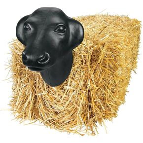 Weaver Equine Plastic Calf Head Roping Dummy Head - Team Practice Cattle Head Roping Target - 11" Wide Head - Black