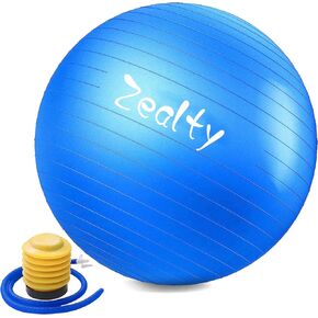 Yoga Ball Exercise Ball - Anti-Slip and Anti-Burst Workout Ball, Birthing Ball Fitness Ball with Quick Pump, Balance Ball Chair for Stability, Pregnancy and Physical Therapy