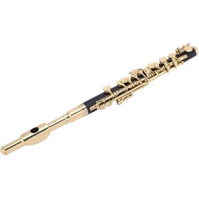 C Key Piccolo - Exquisite Design, Great Sound, Easy Maintenance, Protective Padded Box, Adjustable Strap, ABS Body and Plated Cupronickel Head (Gold)