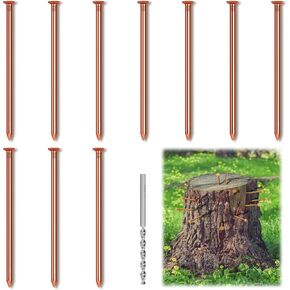 25 Copper Nails for Killing Trees Stump Root, 3.15 Inch Long Pure Copper Nails Bulk with Drill, Stump Removal Spikes Hardware Nails for Trees, Copper Nail for Stump out Tree Stump Killer