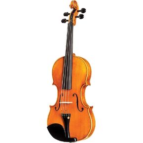 D Z Strad 4/4 Full Size Violin Model 250 with Case, 2 Bows, Shoulder Rest, and Rosin