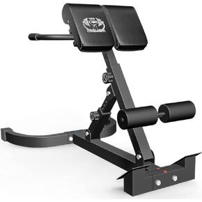 Hyper Back Extension Roman Chair - Back Extension Bench Machine for Glute, Hamstring and Lower Back, Multi-Functional Bench for Full All-in-One Body Workout, Foldable for Home Gym Fitness