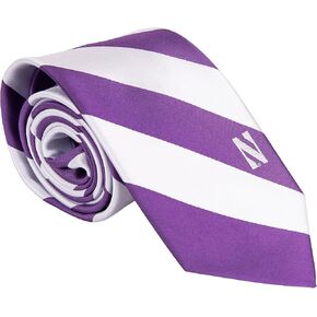 Desert Cactus Northwestern University Tie NU Wildcats, 100% Polyester, with Logo