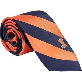 Desert Cactus University of Illinois Tie Fighting Illini U of I, 100% Polyester, with Logo