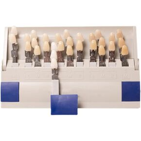 ZJchao Dental Teeth Shade, Teeth Shade, 29 Individually Removable Color Comparison Teeth Whitening Shade Chart