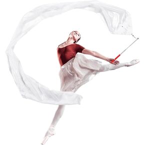 98" Dance Streamer with Scalable Rod, Gymnastics Dance Ribbon Artistic Twirling Ribbon, Church Worship Adoration Dance Banner for Dancer and Church Liturgical Praise (Silver)