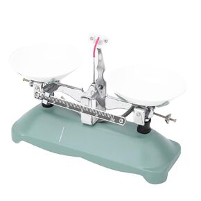 Mechanical Balance Tray with Weights Kit, Accessory for Physical and Chemical Experiments (100g)